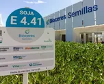 La histórica Bioceres S.A., fundada en Rosario en 2001 como emblema de la biotecnología aplicada al agro, quedó formalmente en quiebra, tras una decisión de la justicia. La histórica Bioceres S.A., fundada en Rosario en 2001 como emblema de la biotecnología aplicada al agro, quedó formalmente en quiebra, tras una decisión de la justicia.