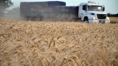 Expectativas positivas para la siembra de trigo en la próxima campaña, a pesar de las inquietudes