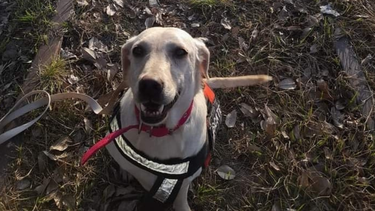 Nube tenía seis años