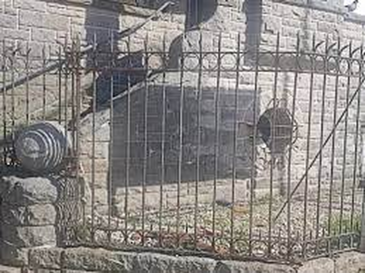 Un joven se clav&oacute; algunas de las filosas puntas en los test&iacute;culos.