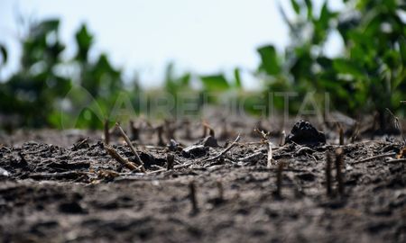 En las últimos dos años, la sequía golpeó fuerte a los productores agrícolas en la Argentina. En las últimos dos años, la sequía golpeó fuerte a los productores agrícolas en la Argentina.