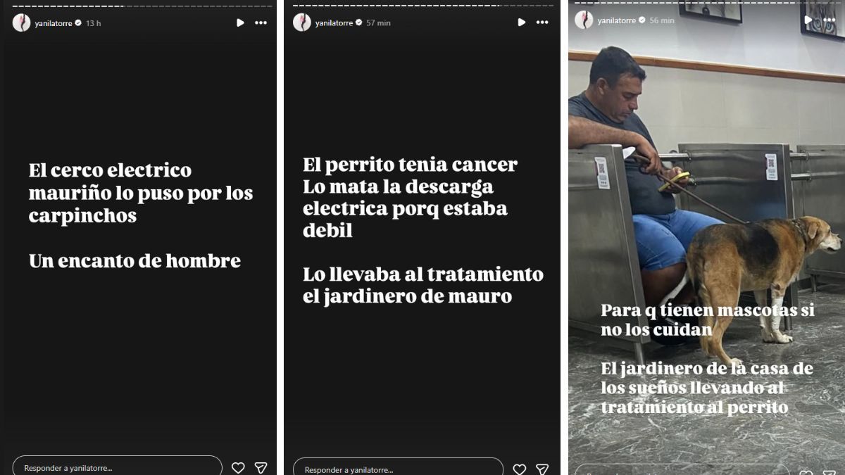 Yanina Latorre comentó que el jardinero de la China Suárez no se hacía cargo de su perro. Yanina Latorre comentó que el jardinero de la China Suárez no se hacía cargo de su perro.