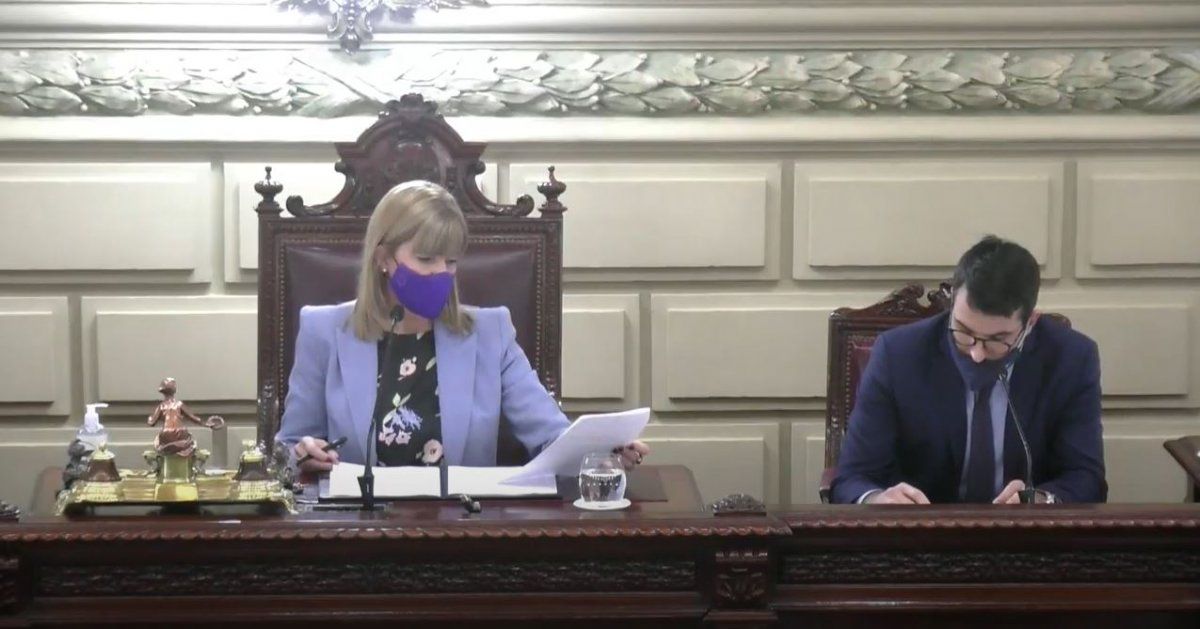 La vicegobernadora Alejandra Rodenas encabezó la sesión virtual. 