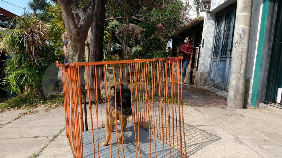 El dueño de los animales quedó detenido por agredir y amenazar al personal policial.