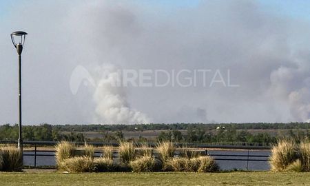 Los casi 40.000 focos de calor registrados en el Delta durante los últimos 12 meses generaron 3,4 millones de toneladas de dióxido de carbono (CO2). Los casi 40.000 focos de calor registrados en el Delta durante los últimos 12 meses generaron 3,4 millones de toneladas de dióxido de carbono (CO2).
