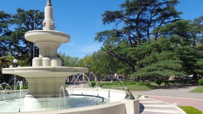 Escalofriante: asesinaron a una jubilada en Buenos Aires y el principal sospechoso es su nieto