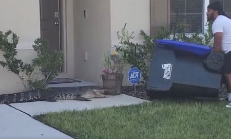 Video viral: un hombre capturó a un cocodrilo con un tacho de basura. Video viral: un hombre capturó a un cocodrilo con un tacho de basura.
