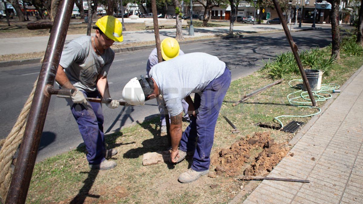 El análisis es realizado por una empresa tercerizada contratada por la municipalidad.