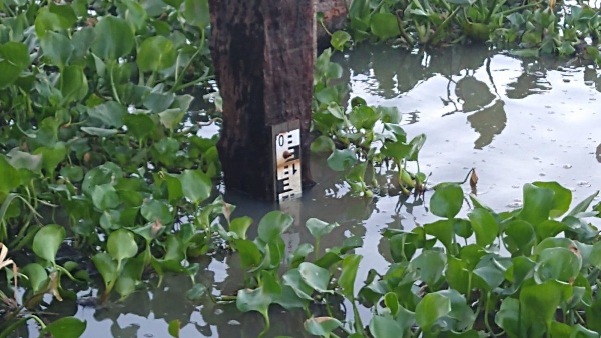 El río sigue bajando en el hidrómetro del Puerto de Santa Fe.