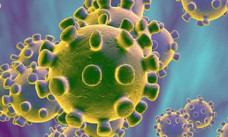 ¿que es un coronavirus?, las preguntas mas frecuentes sobre esta nueva enfermedad ¿que es un coronavirus?, las preguntas mas frecuentes sobre esta nueva enfermedad