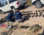 Los patos son la especie afectada por caza de animales en Santa Fe. Los patos son la especie afectada por caza de animales en Santa Fe.
