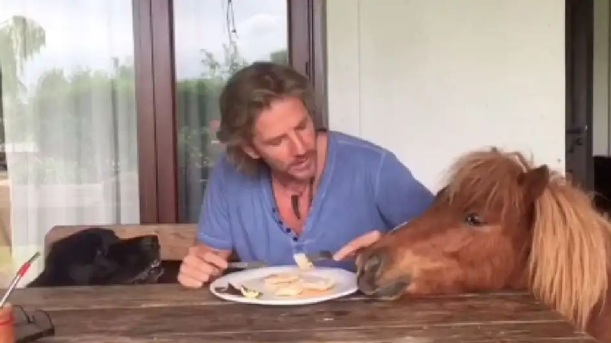 Explorá la lujosa casa campestre de Facundo Arana: un paraíso verde en pleno corazón urbano