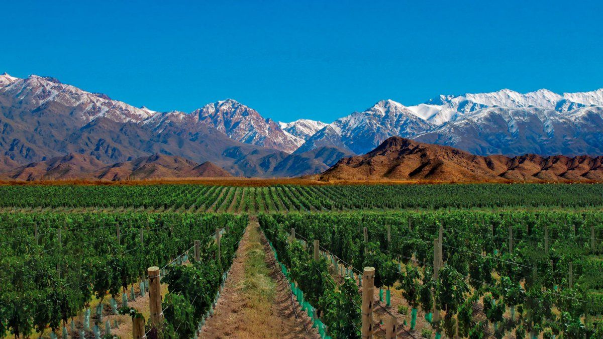 Mendoza se puede recorrer en solo 7 días y conocer todos sus atractivos más importantes.