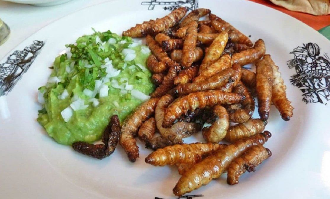 Por qué los gusanos podrían ser el superalimento del futuro