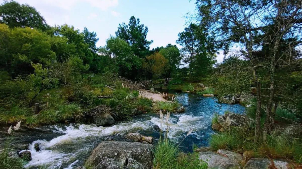 El río San Pedro es una de las muchas corrientes de agua que cruzan la provincia de Córdoba e invita a pasar un fin de semana rodeado de naturaleza. El río San Pedro es una de las muchas corrientes de agua que cruzan la provincia de Córdoba e invita a pasar un fin de semana rodeado de naturaleza.