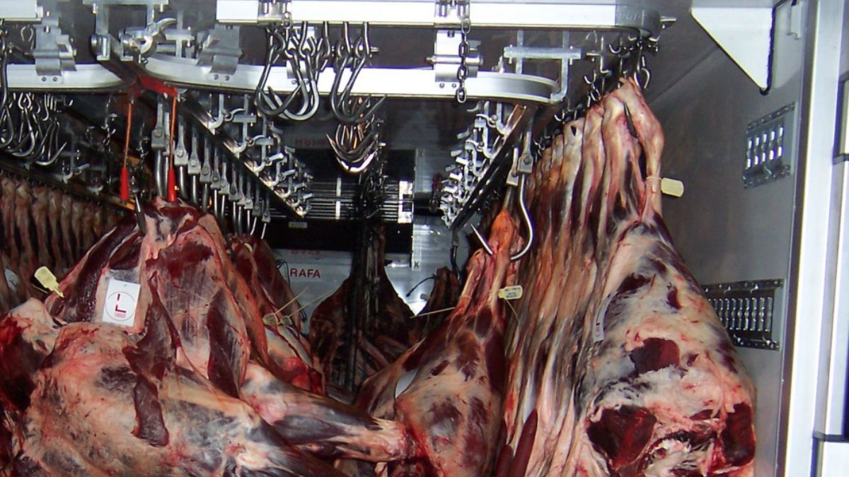 En el último mes y medio