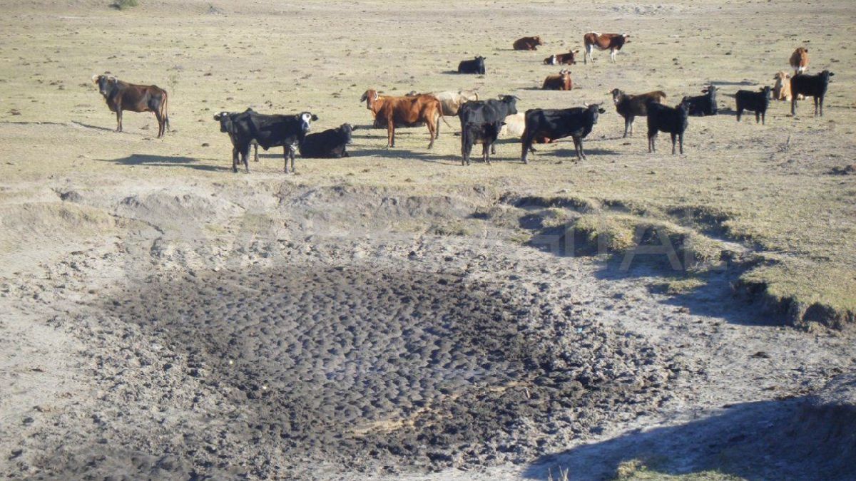 Desde la provincia aspiran a lograr la homologación nacional con la misma rapidez del año pasado.
