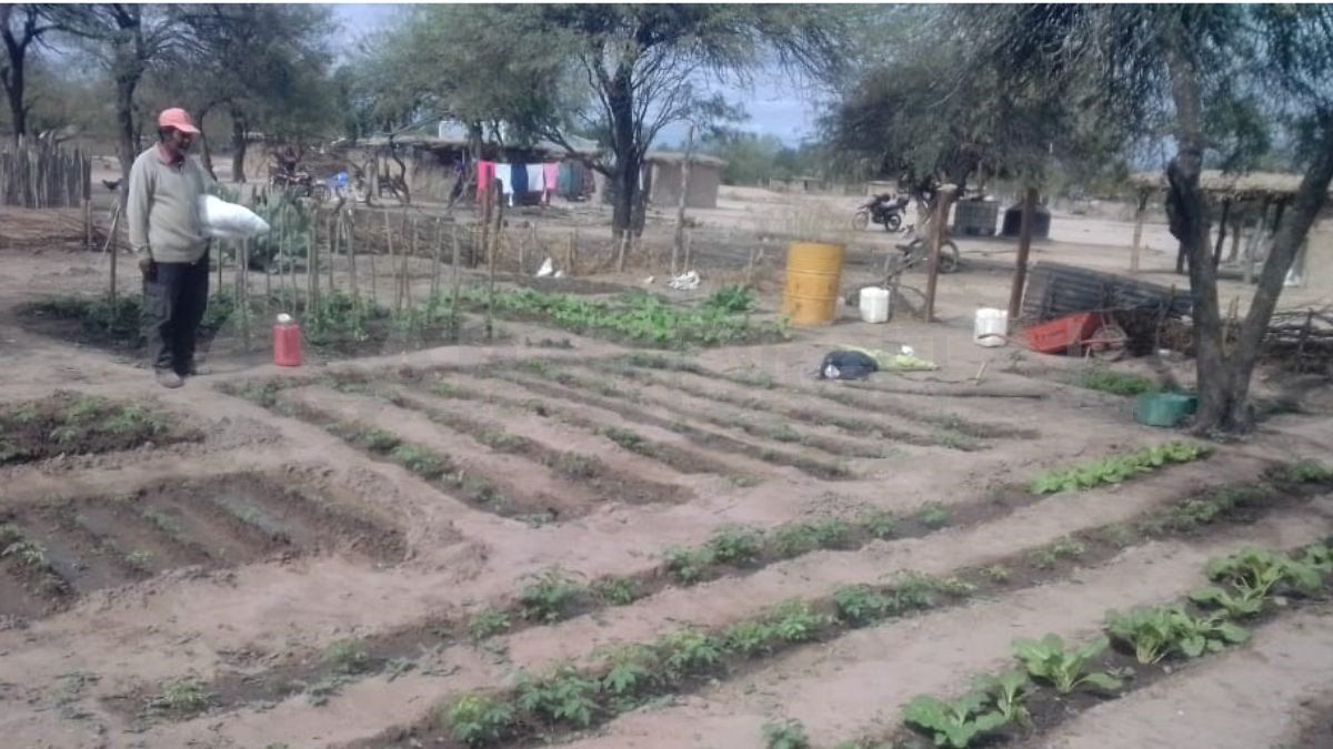 Es difícil cultivar la tierra por la sequía que dura la mayor parte del año. Es difícil cultivar la tierra por la sequía que dura la mayor parte del año.