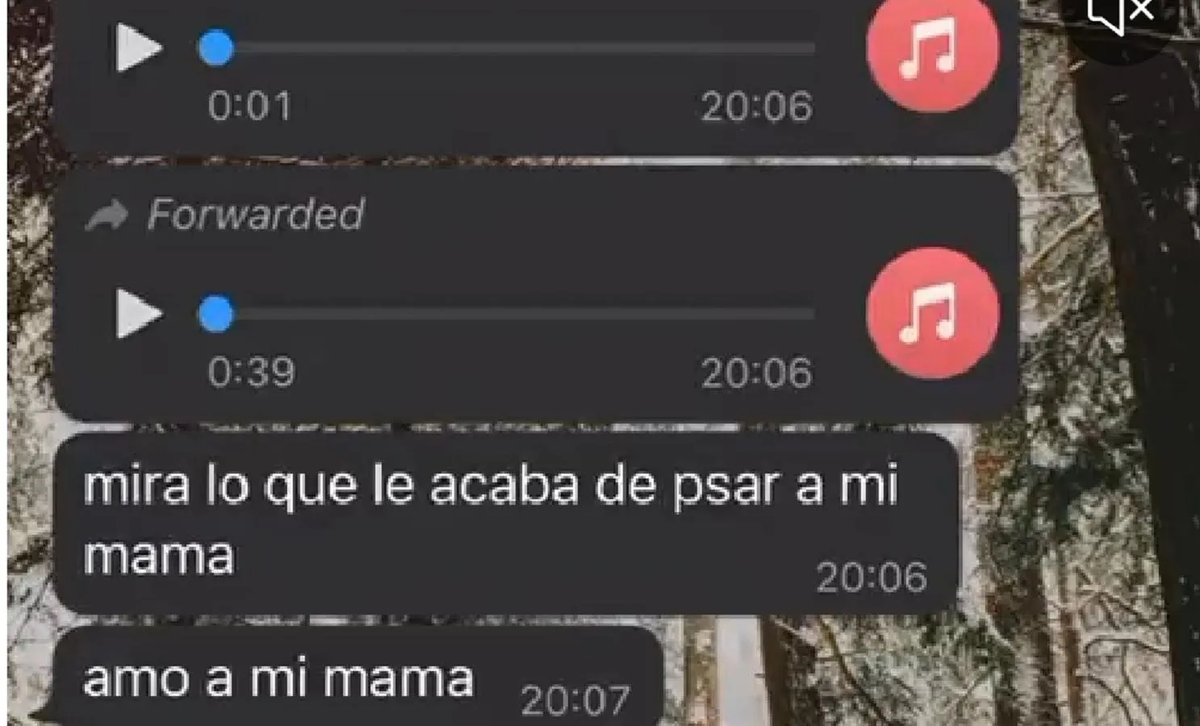 Intentaron estafarla por teléfono