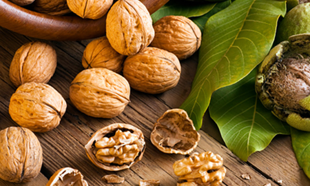 como actuan las nueces para reducir a los trigliceridos como actuan las nueces para reducir a los trigliceridos