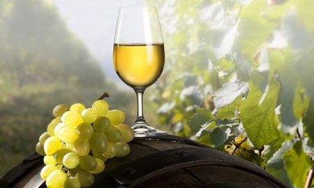 Aunque se remonta a la época de la conquista, su genealogía es reciente. En 2003 identificaron el origen del Torrontés Riojano: un cruzamiento de la variedad blanca Moscatel de Alejandría y la variedad tinta Criolla Chica. Aunque se remonta a la época de la conquista, su genealogía es reciente. En 2003 identificaron el origen del Torrontés Riojano: un cruzamiento de la variedad blanca Moscatel de Alejandría y la variedad tinta Criolla Chica.