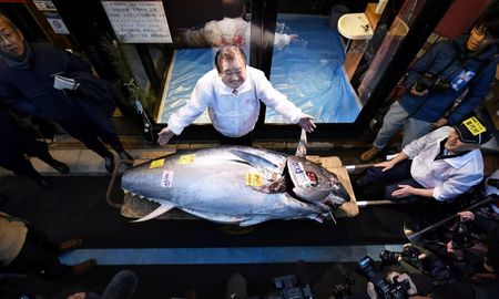 el rey del atun gana una subasta al pagar 1,8 millones de dolares por un ejemplar el rey del atun gana una subasta al pagar 1,8 millones de dolares por un ejemplar