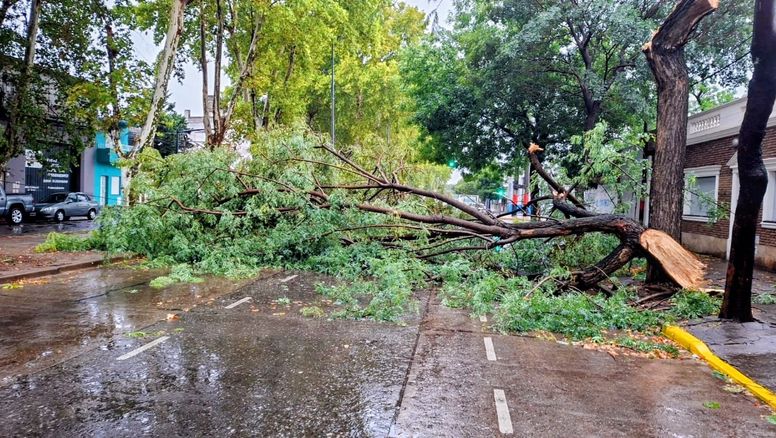 Las ráfagas de viento en Rosario superaron los 100 km/h durante la madrugada de este martes