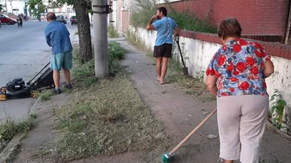 Con palas y una m&aacute;quina de c&eacute;sped