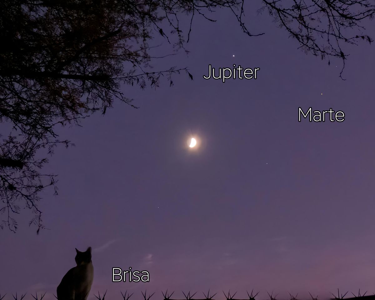 La Luna, Júpiter y Marte vistos desde Santa Fe formando un hermoso triángulo cósmico registrado por el fotógrafo Cristian Acosta. La Luna, Júpiter y Marte vistos desde Santa Fe formando un hermoso triángulo cósmico registrado por el fotógrafo Cristian Acosta.