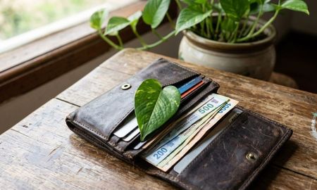 Guardar una hoja de potus en tu billetera: para qué sirve según el Feng Shui. Guardar una hoja de potus en tu billetera: para qué sirve según el Feng Shui.