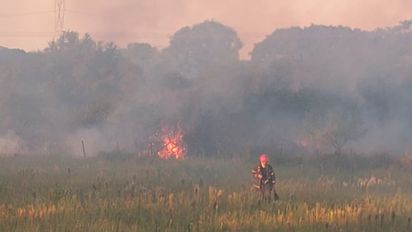Incendio de pastizales en la Ruta Nacional 168: ardieron más de 15 hectáreas en Santa Fe