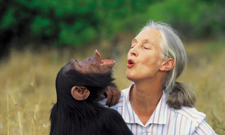 La etóloga y activista inglesa Jane Goodall, pionera en el campo de la investigación con primates en Tanzania La etóloga y activista inglesa Jane Goodall, pionera en el campo de la investigación con primates en Tanzania