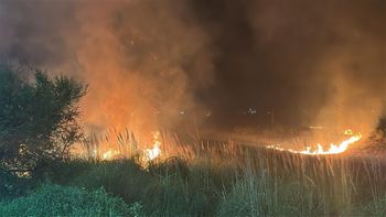 El incendio de pastizales a metros de avenida Circunvalación Oeste.