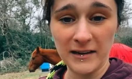 Abrigó a su caballo, su vecino la acusó de maltrato animal y ella se vengó Abrigó a su caballo, su vecino la acusó de maltrato animal y ella se vengó
