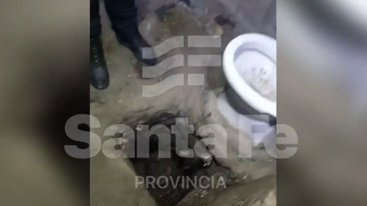 Hallazgo en la cárcel de Piñero: detectaron un túnel en medio de una requisa