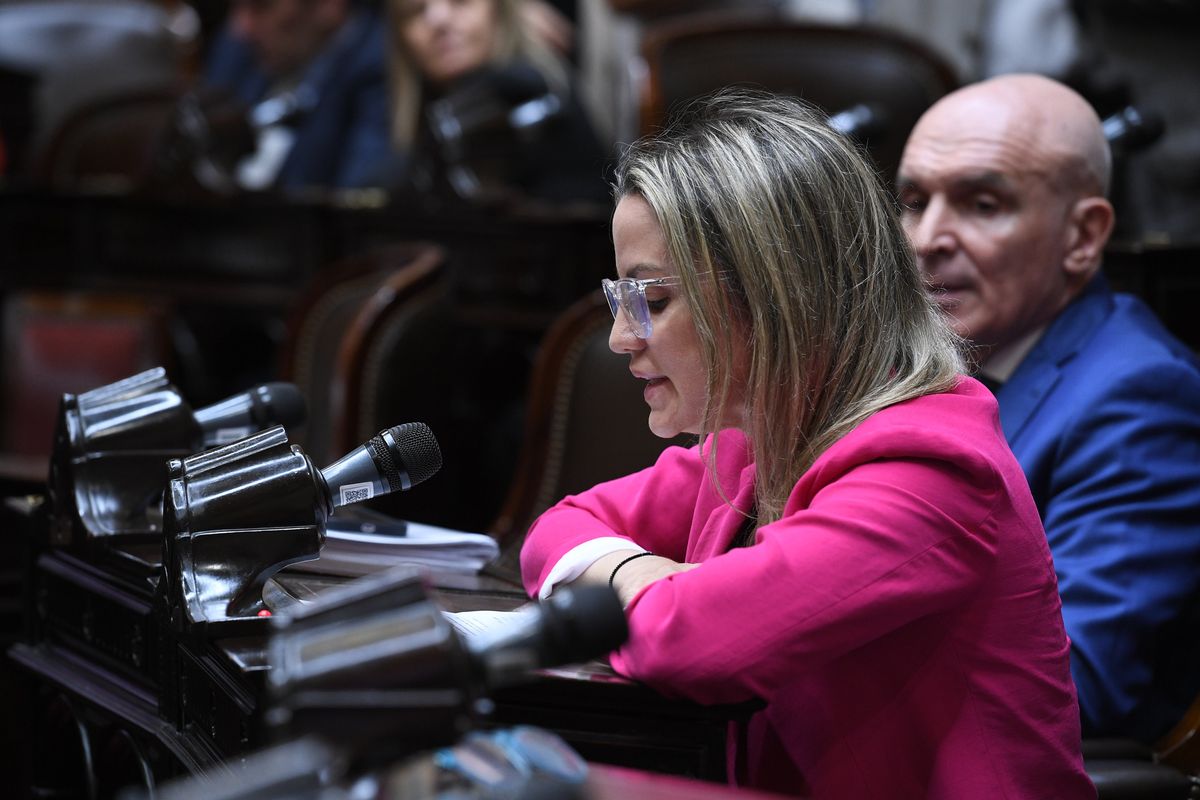 Carolina Píparo y, detrás, José Luis Espert. Ambos podrían ser votar a favor de los proyectos que presente Javier Milei en Diputados. Carolina Píparo y, detrás, José Luis Espert. Ambos podrían ser votar a favor de los proyectos que presente Javier Milei en Diputados.