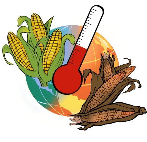 ¡13 alimentos favoritos pueden desaparecer en breve!