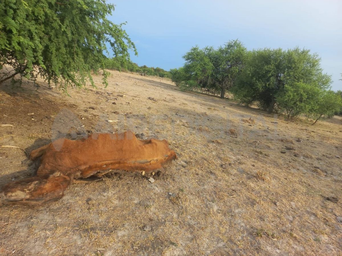 Los productores ya agotaron todos los recursos que tenían