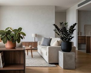 Las 3 plantas que podés tener en tu living. Las 3 plantas que podés tener en tu living.
