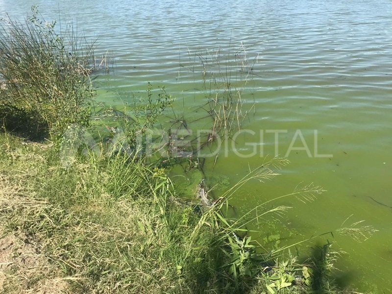 Preocupa el abandono de los piletones del Parque del Sur