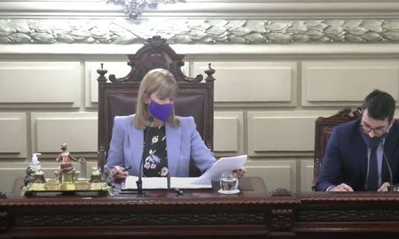 La vicegobernadora Alejandra Rodenas encabezó la sesión virtual. La vicegobernadora Alejandra Rodenas encabezó la sesión virtual.