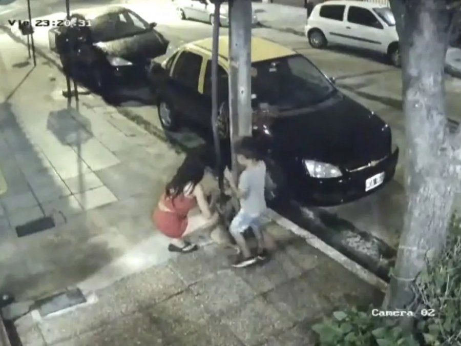 Sin corazón: abandonaron a un cachorro en Navidad