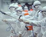 coronavirus: son 17 los muertos y mas de 800 los contagios en corea del sur