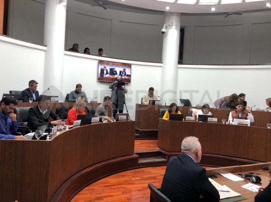 También se aprobó una ordenanza que establece el día 21 de julio de cada año como “Día de la Adopción Responsable de Animales de Compañía”.