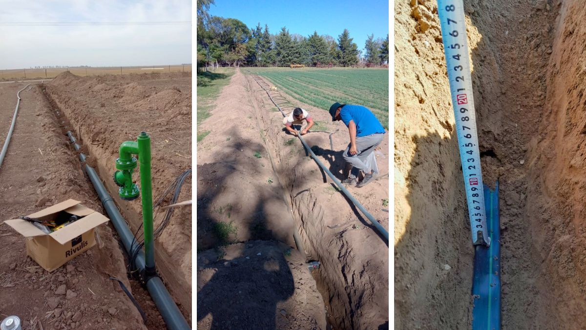 En el sistema que usa Boccolini las mangueras se entierran a 28-32 centímetros de profundidad para evitar pérdidas por evaporación y mejorar la absorción.