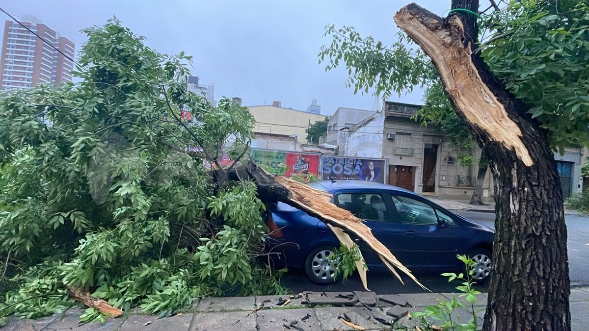 Santa Fe: una rama cayó sobre un auto estacionado en barrio Constituyentes.