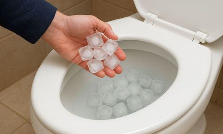El truco con cubos de hielo en el inodoro. El truco con cubos de hielo en el inodoro.
