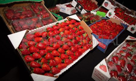 Aire de Santa Fe | 62° Fiesta Nacional de la Frutilla de Coronda