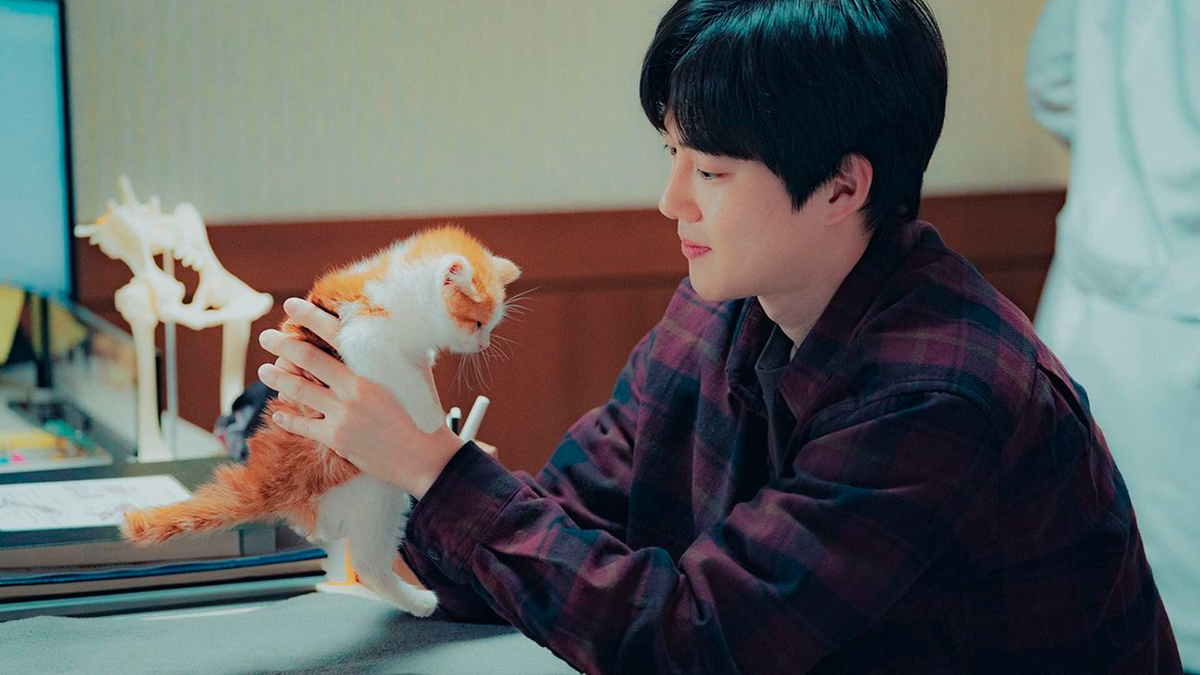 "Con tacto especial", la serie coreana de drama y fantasía que está en Netflix. "Con tacto especial", la serie coreana de drama y fantasía que está en Netflix.