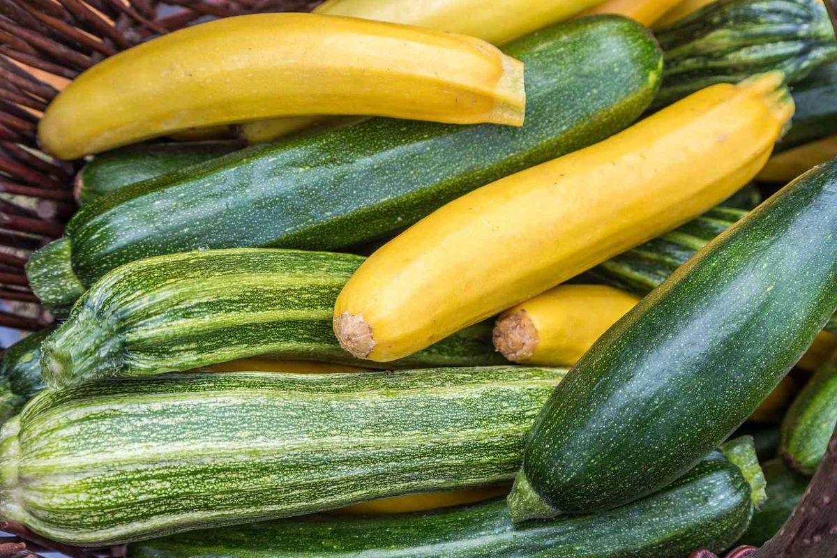 Cómo hacer zucchini en casa: las recetas más ricas y con pocos ingredientes